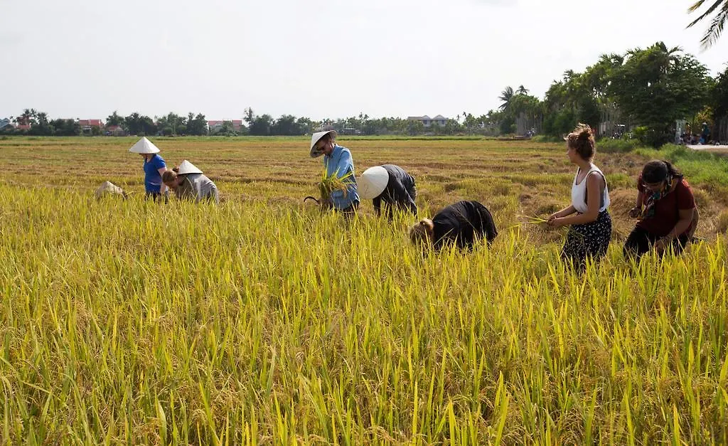 Quynh Chau Homestay Hoi An
